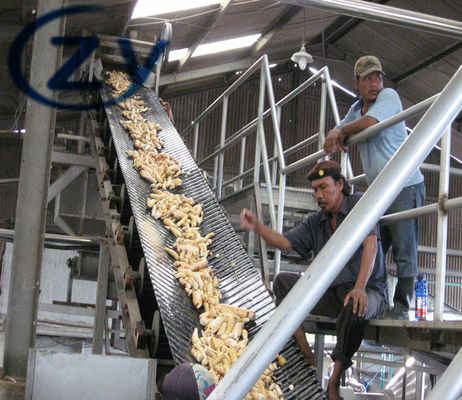 Seimens Motor Garri Processing Machine / Drum Rotary Peeling Machine